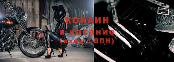 дживик Сясьстрой