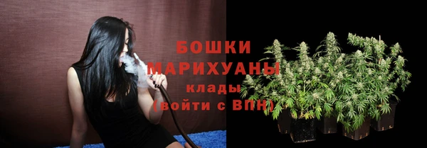 не бодяженный Тайга