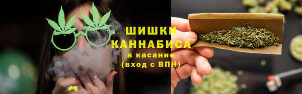 соль ск Тавда