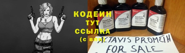 дживик Сясьстрой