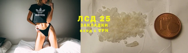прущие грибы Бугульма