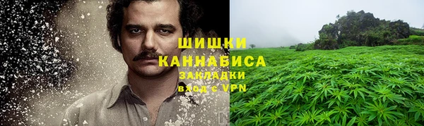 молекула духа Бронницы