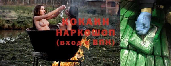 дживик Сясьстрой