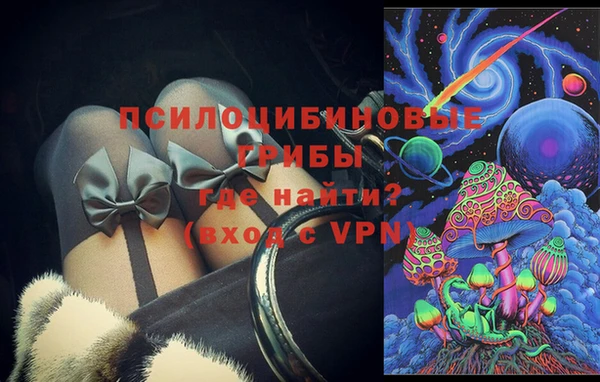 прущие грибы Бугульма