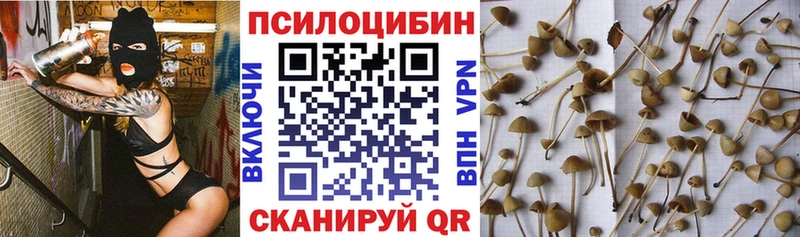 Галлюциногенные грибы Psilocybine cubensis  наркота  ОМГ ОМГ рабочий сайт  Тотьма 